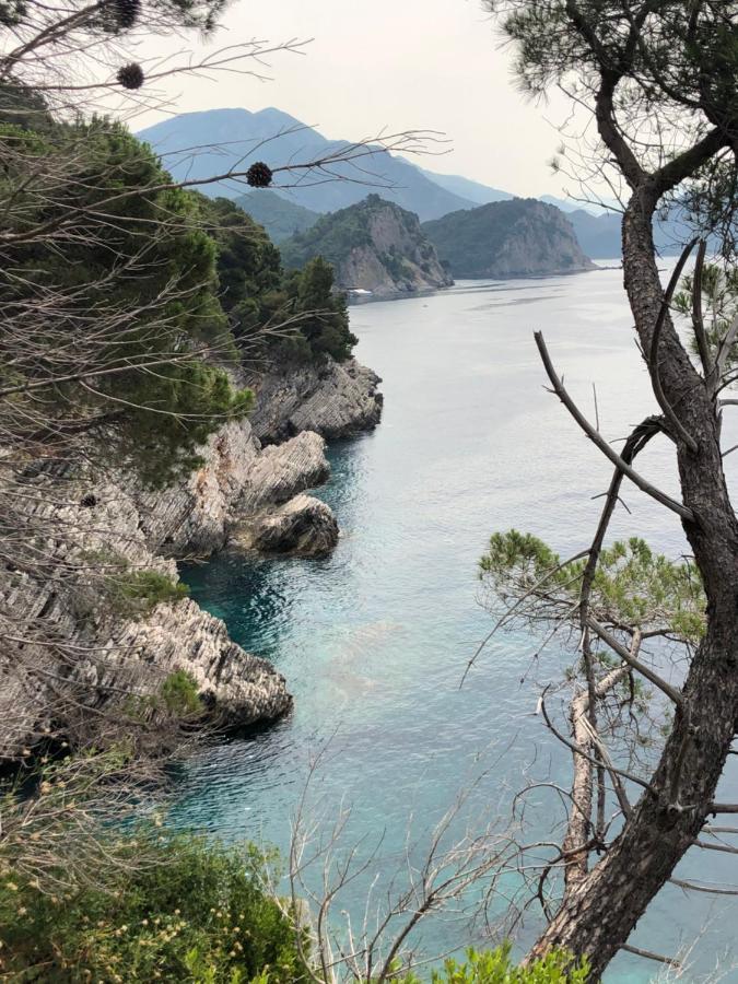 Villa Lime Petrovac Buitenkant foto